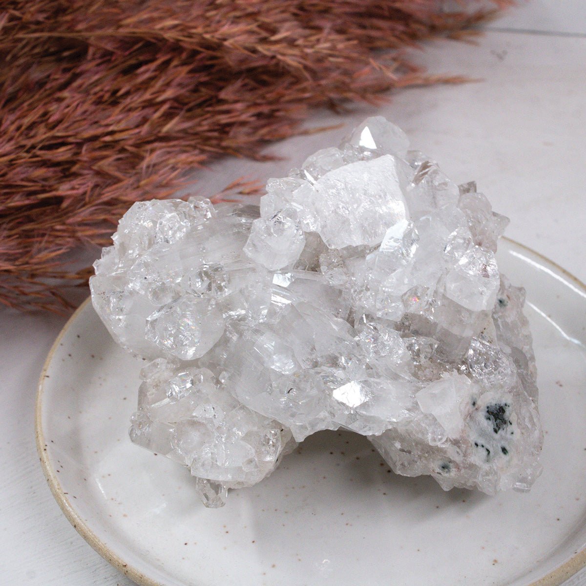 Apophyllite - Unique Specimen 2 - Muse + Moonstone