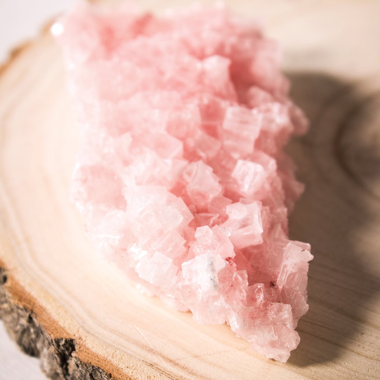 Pink Halite - Unique Crystal Specimen #4 - Muse + Moonstone