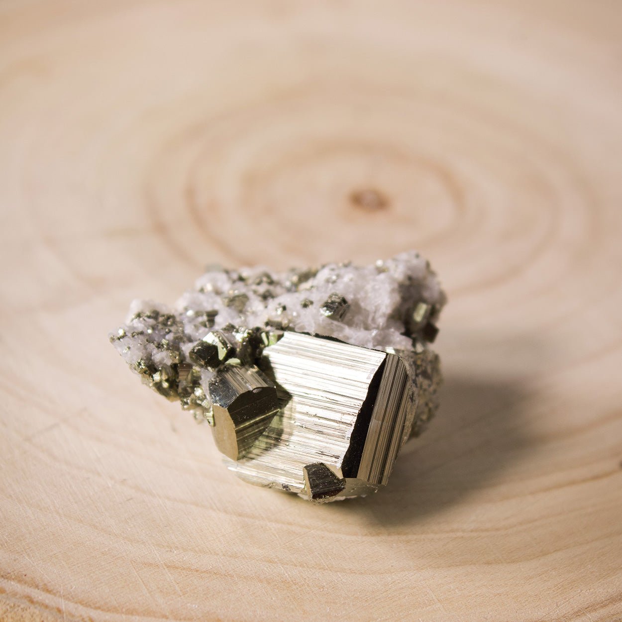 Pyrite on Quartz - Unique Specimen - #1 - Muse + Moonstone