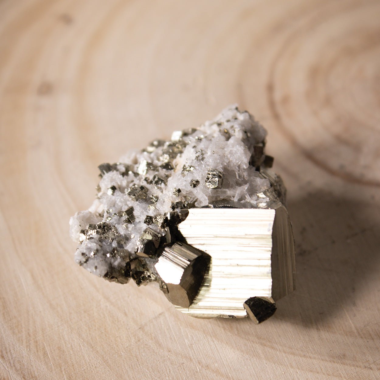 Pyrite on Quartz - Unique Specimen - #1 - Muse + Moonstone