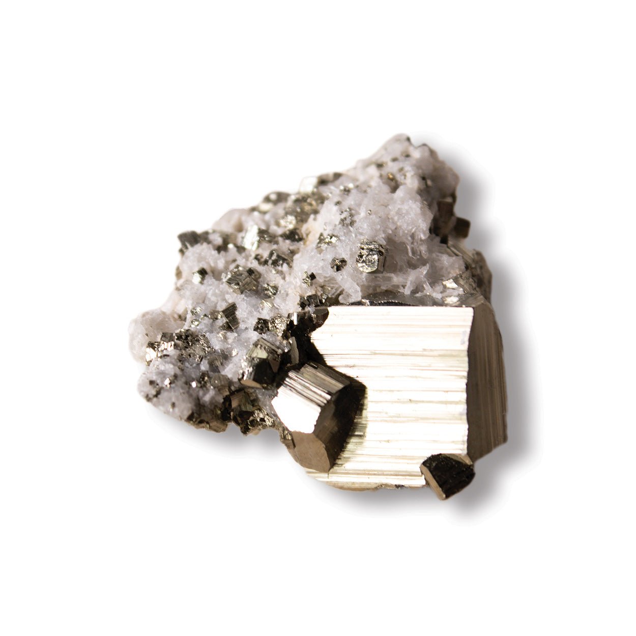 Pyrite on Quartz - Unique Specimen - #1 - Muse + Moonstone