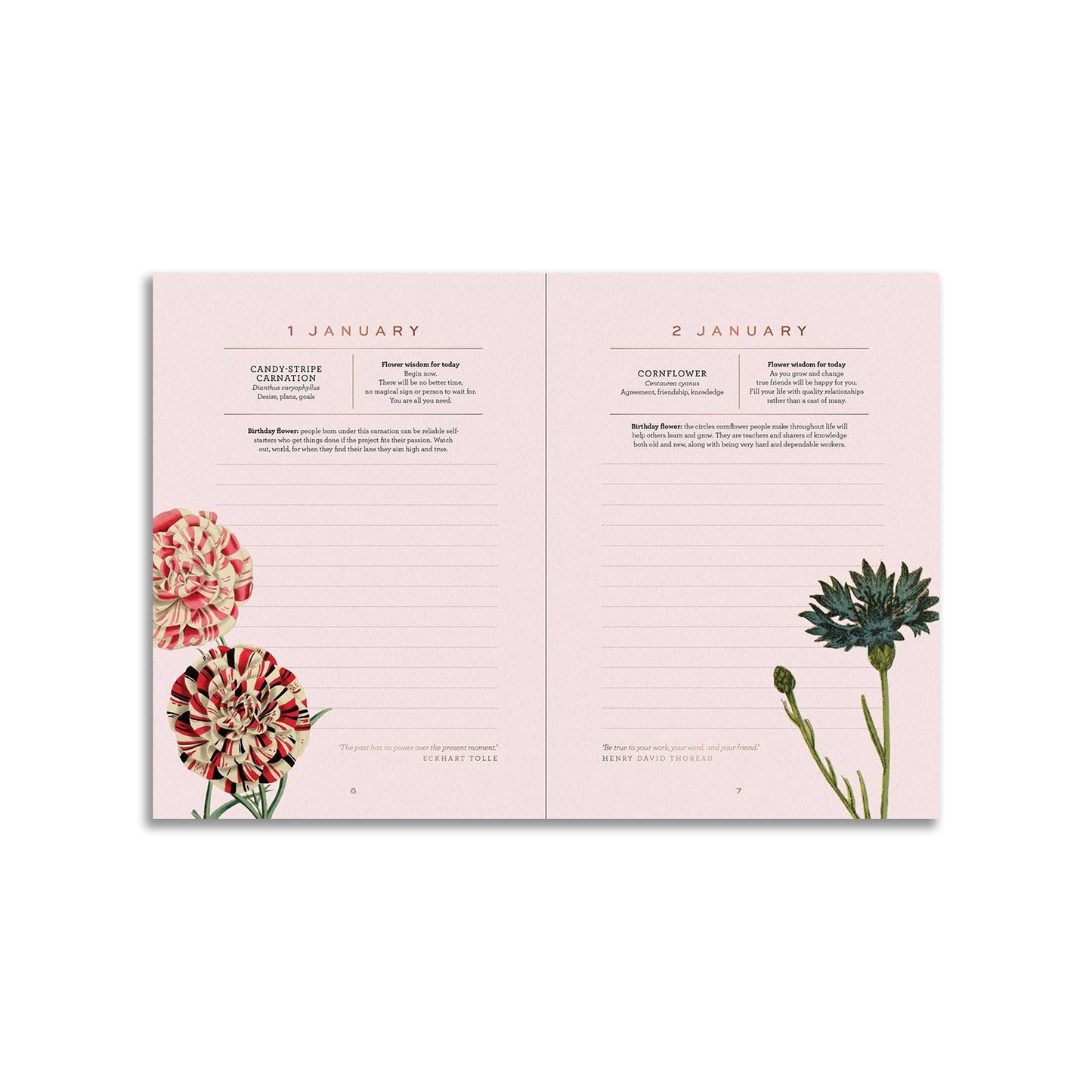 A Year of Flowers: A Journal of Daily Wisdom - Muse + Moonstone