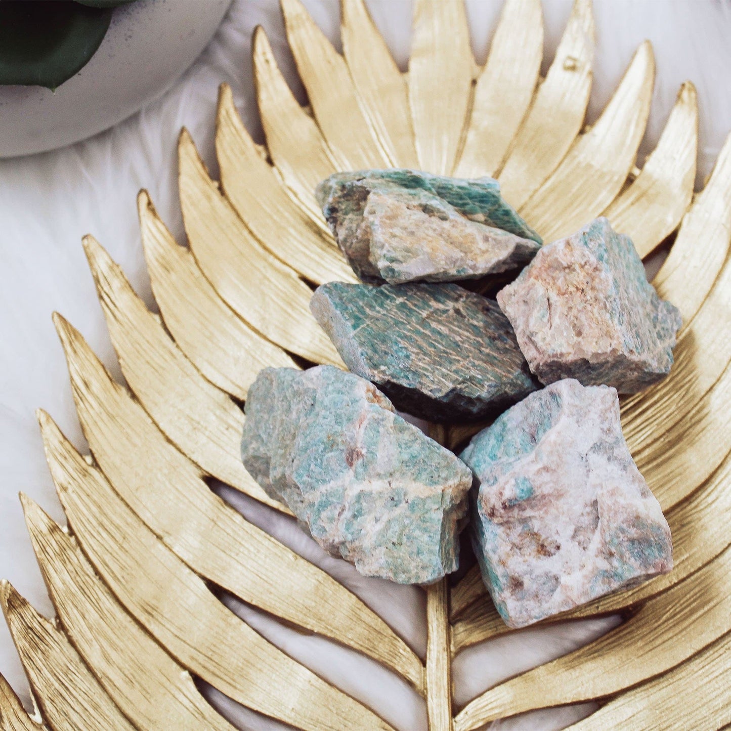 Amazonite - Rough - Muse + Moonstone