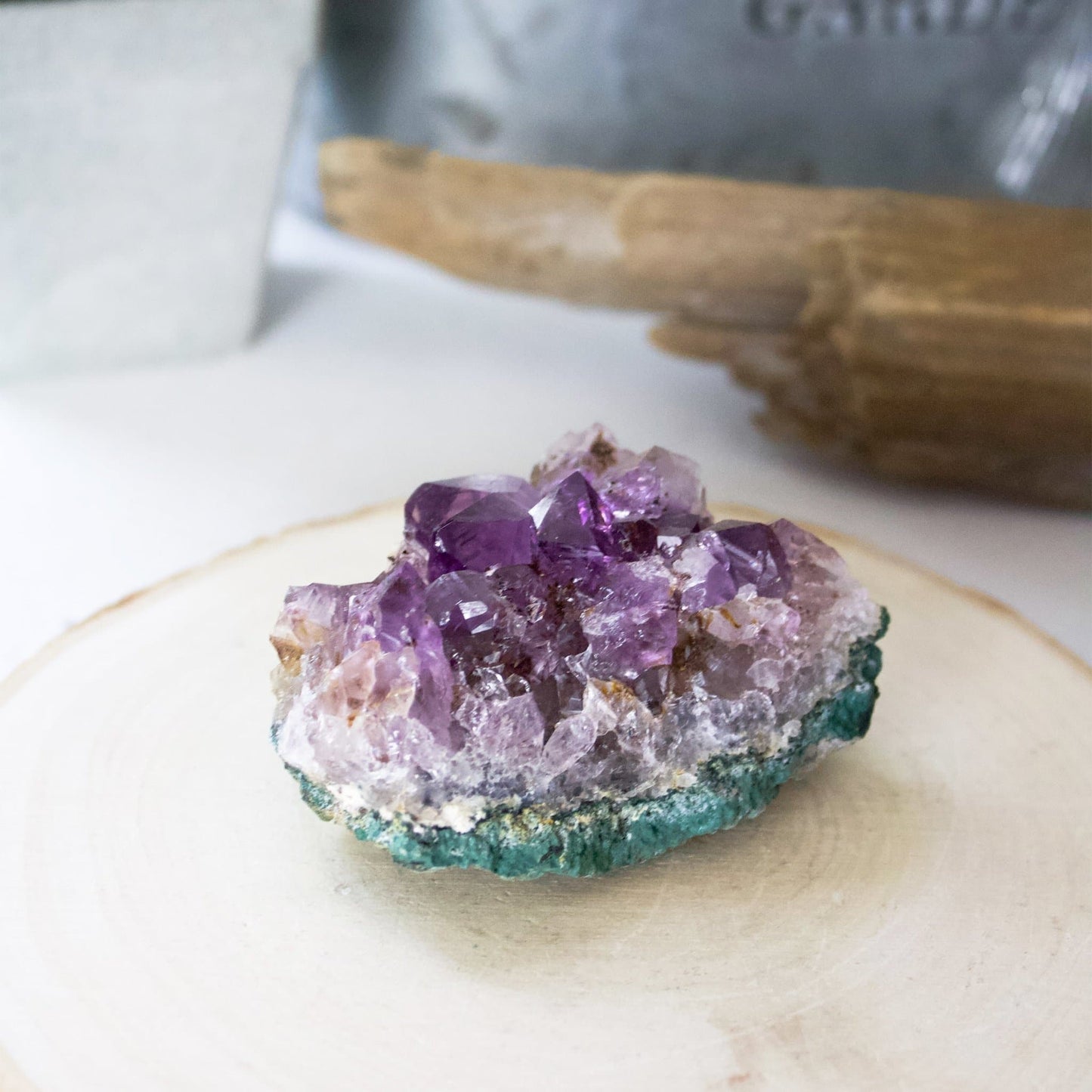 Amethyst Cluster - Medium - Muse + Moonstone