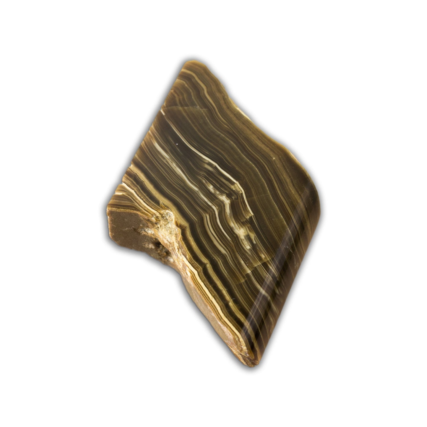 Black Onyx - Polished Specimen #1 - Muse + Moonstone