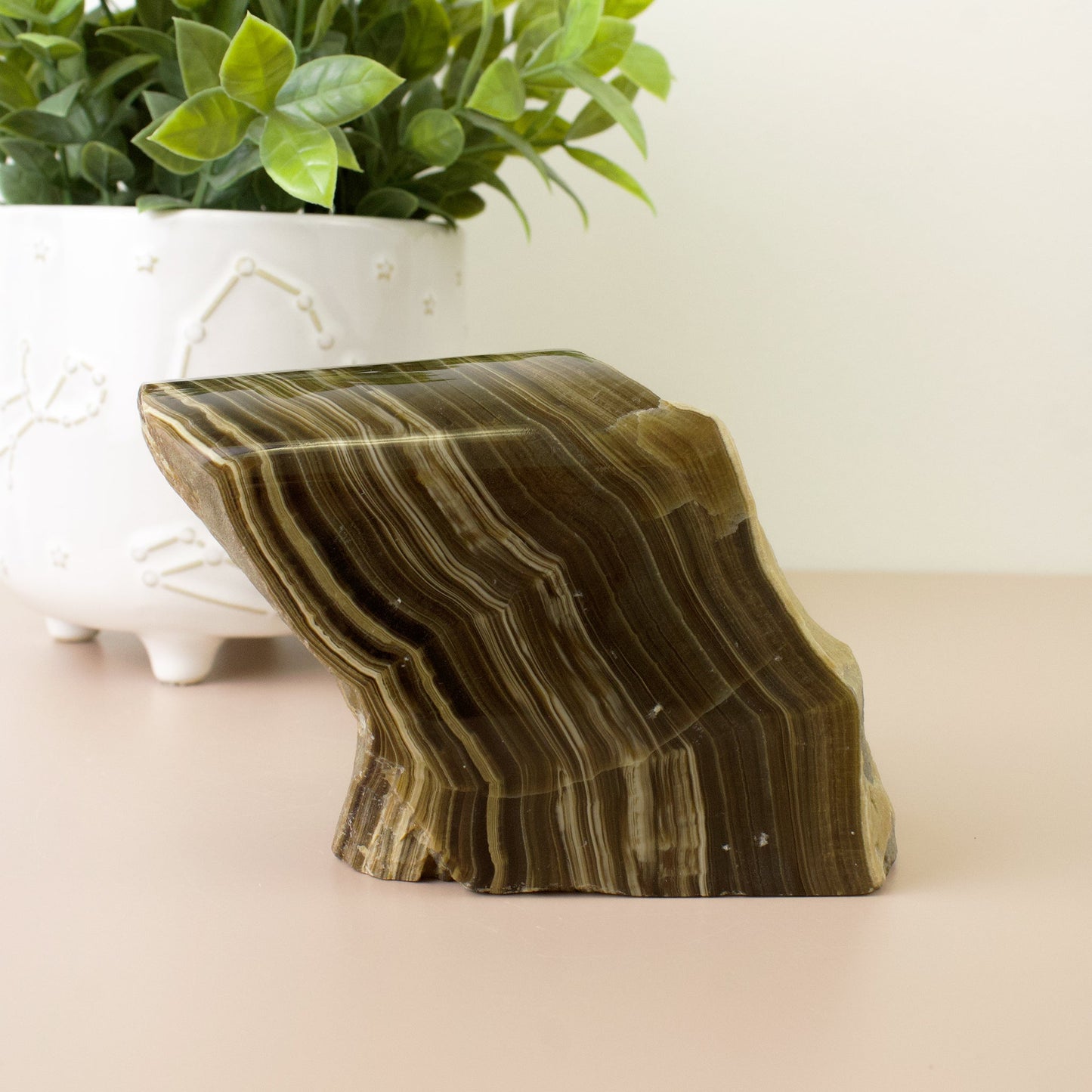 Black Onyx - Polished Specimen #1 - Muse + Moonstone