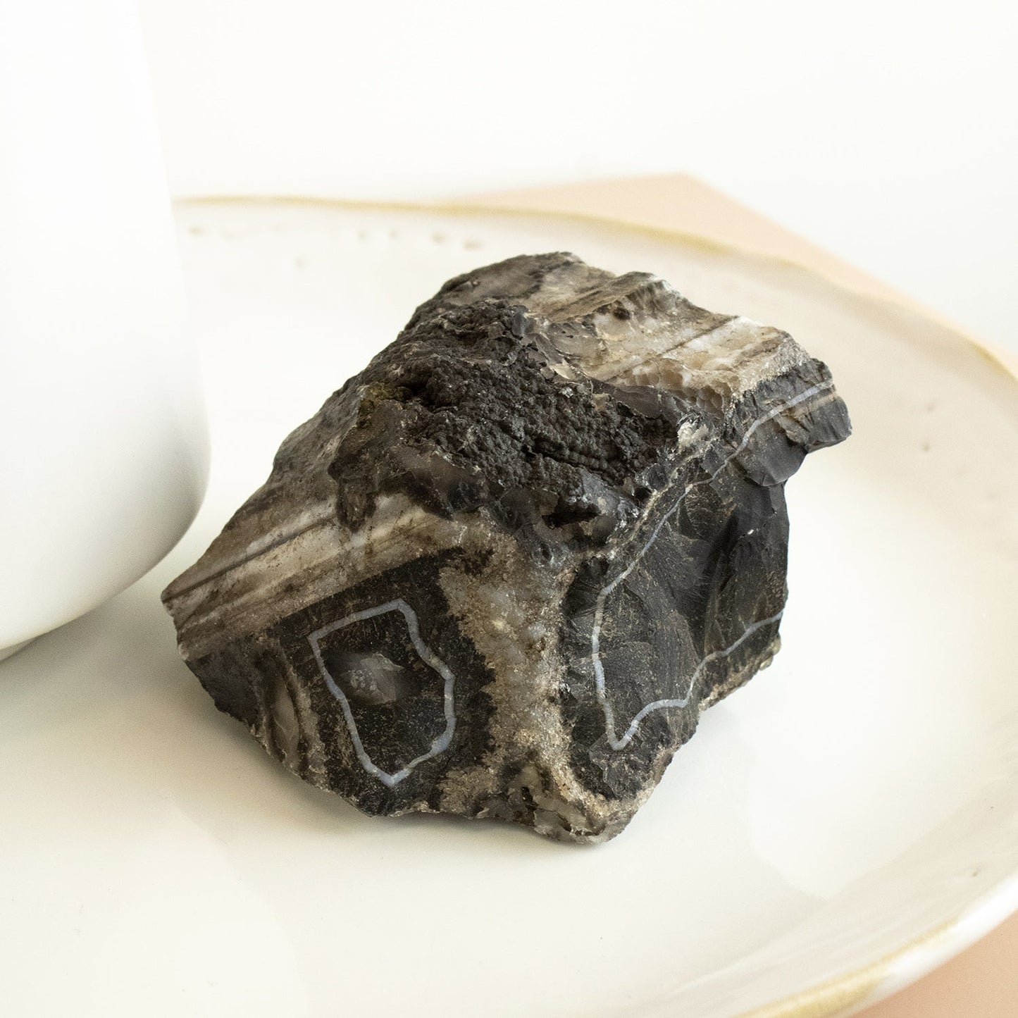 Black Onyx - Unique Specimen #1 - Muse + Moonstone