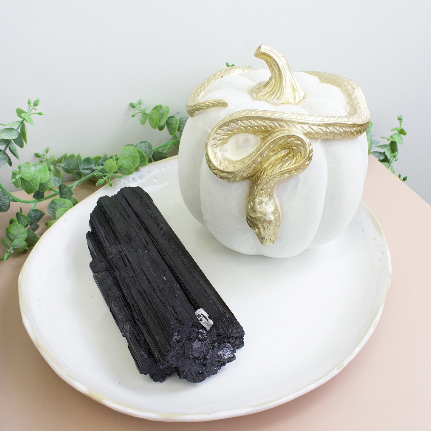 Black Tourmaline - Unique Specimen #2 - Muse + Moonstone