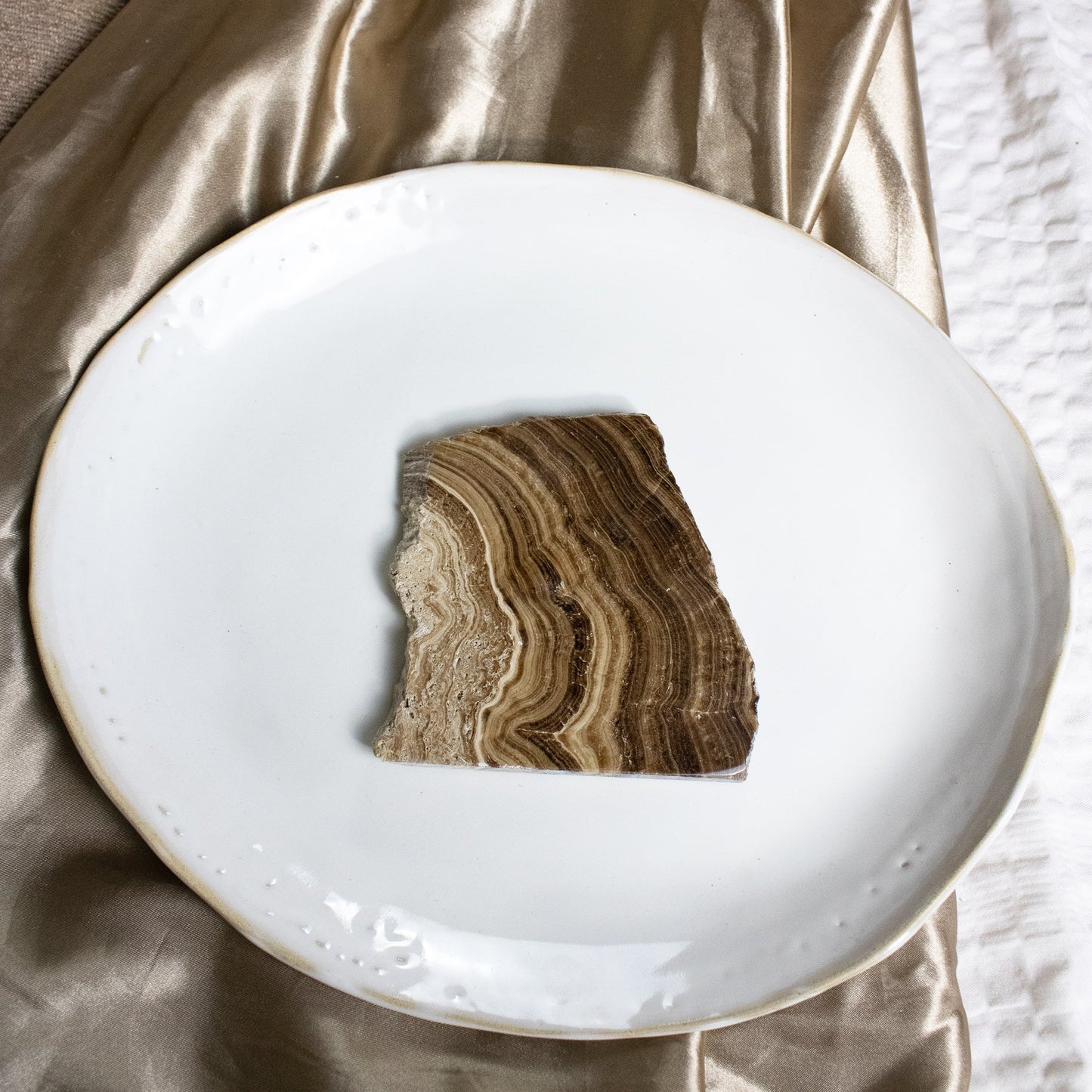 Chocolate Calcite - Unique Slab #1 - Muse + Moonstone