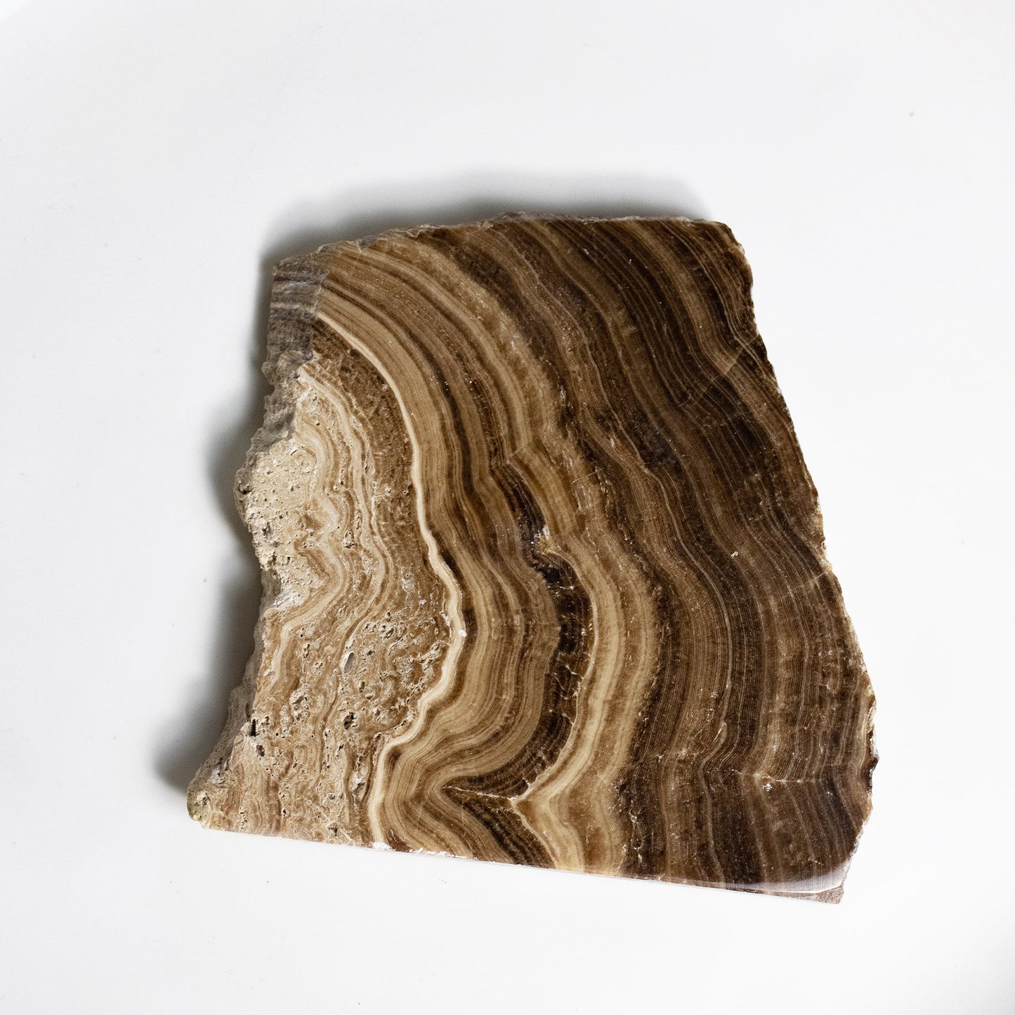 Chocolate Calcite - Unique Slab #1 - Muse + Moonstone