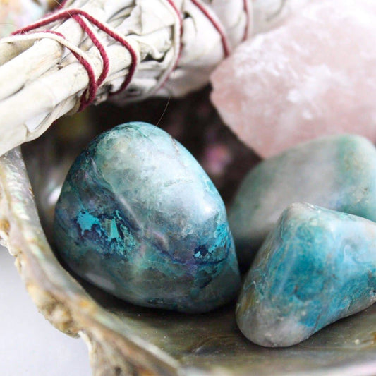 Chrysocolla - Tumbled - Muse + Moonstone