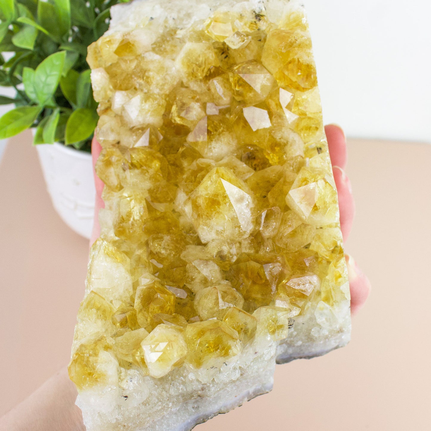 Citrine - Unique Specimen #1 - Muse + Moonstone
