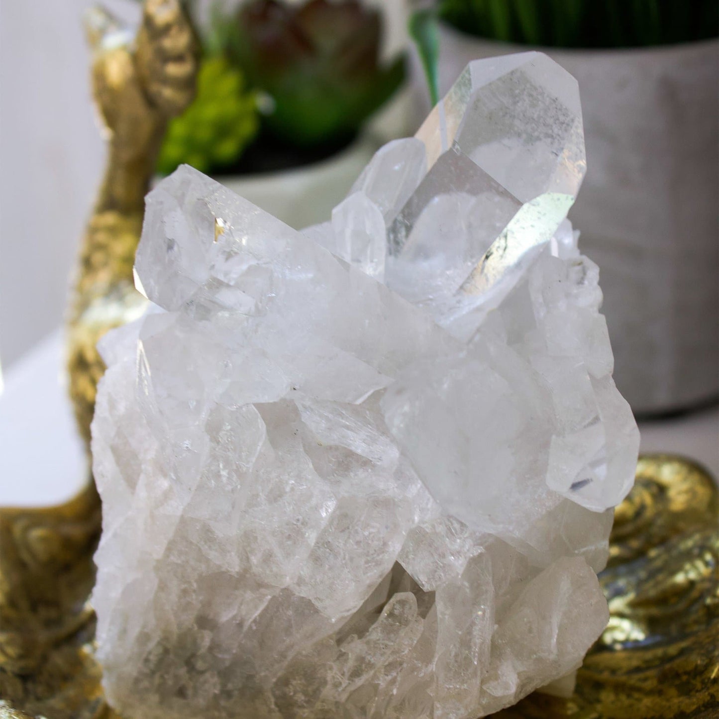 Clear Quartz - Cluster - Unique Specimen #1 - Muse + Moonstone
