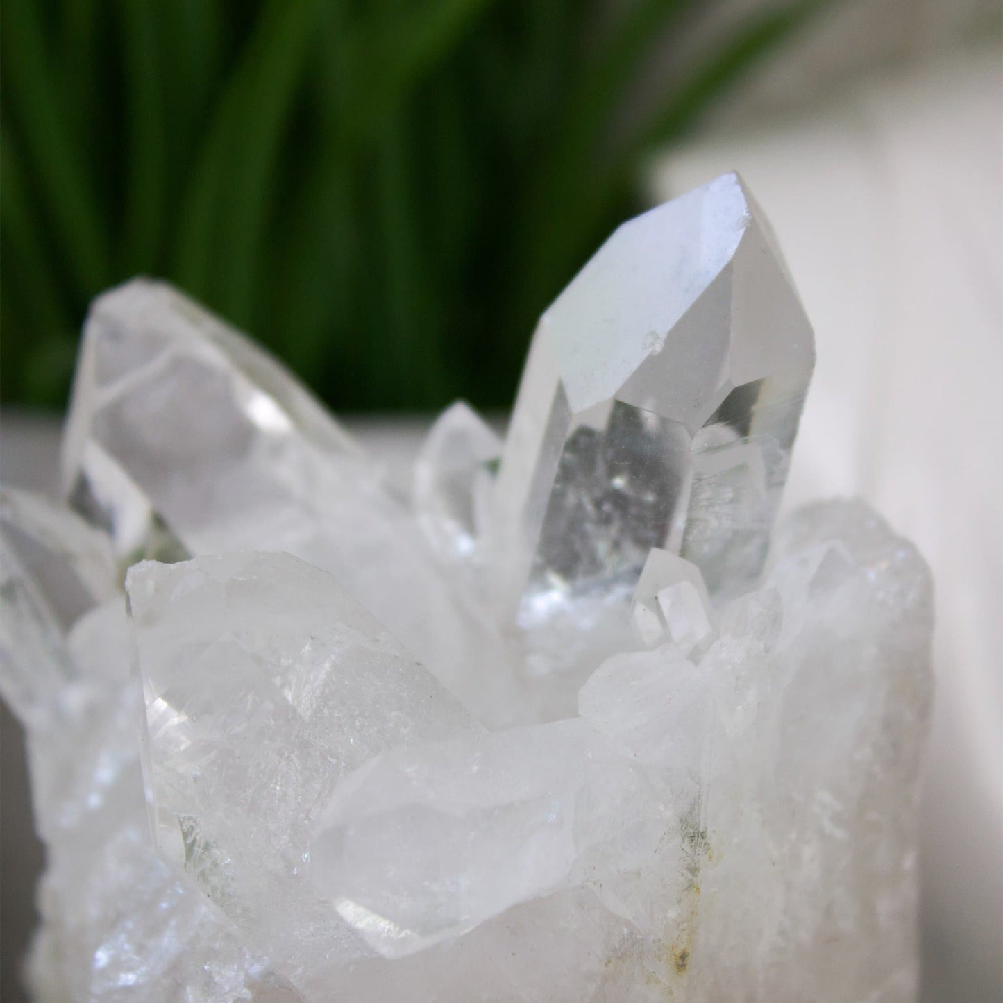 Clear Quartz - Cluster - Unique Specimen #1 - Muse + Moonstone