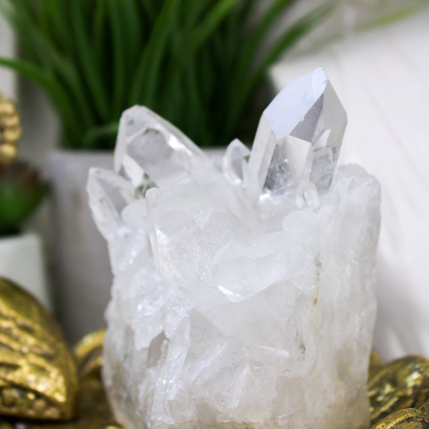 Clear Quartz - Cluster - Unique Specimen #1 - Muse + Moonstone