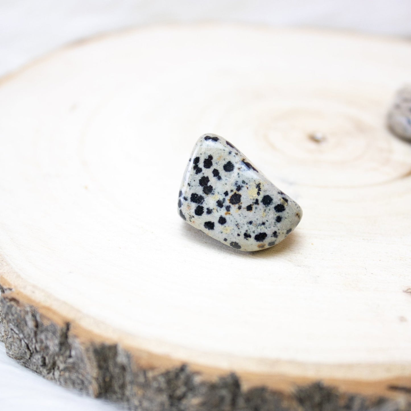 Dalmatian Jasper - Tumbled - Muse + Moonstone