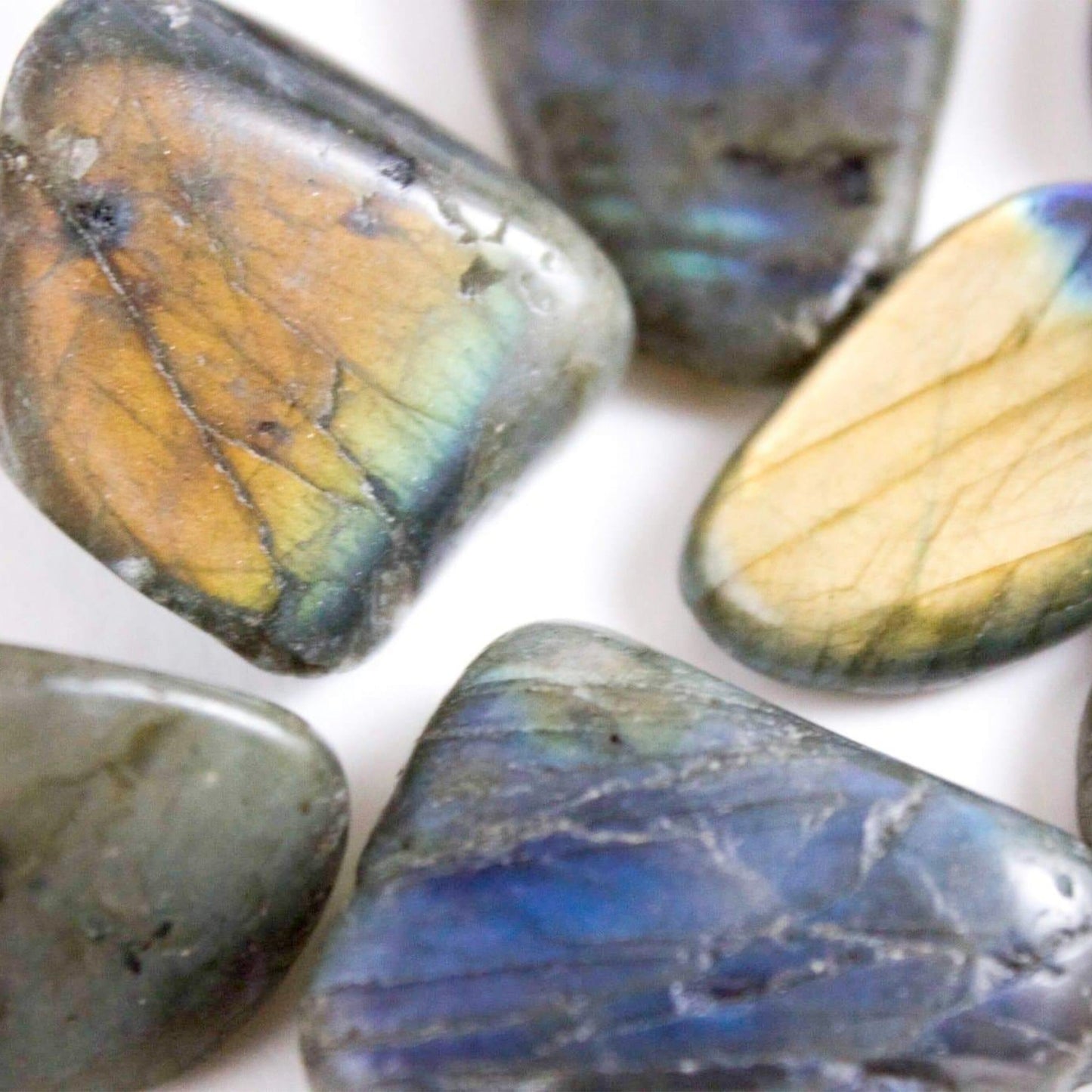 Labradorite - Tumbled - Muse + Moonstone
