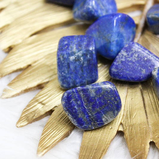 Lapis Lazuli - Tumbled - Muse + Moonstone