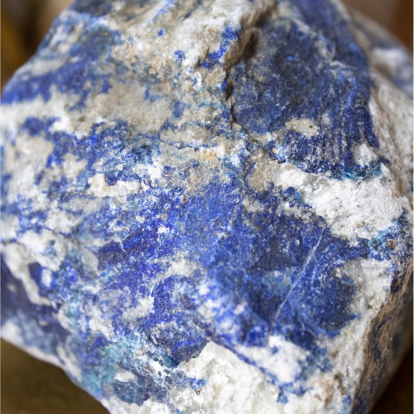 Lapis Lazuli - Unique Rough Specimen - #1 - Muse + Moonstone