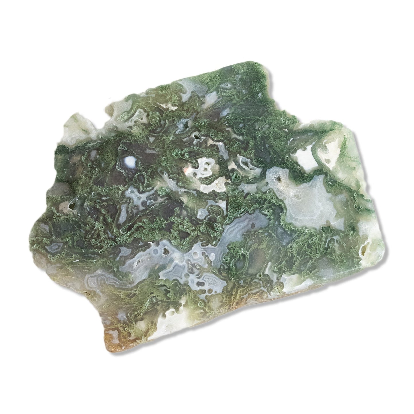 Moss Agate - Unique Slab #1 - Muse + Moonstone