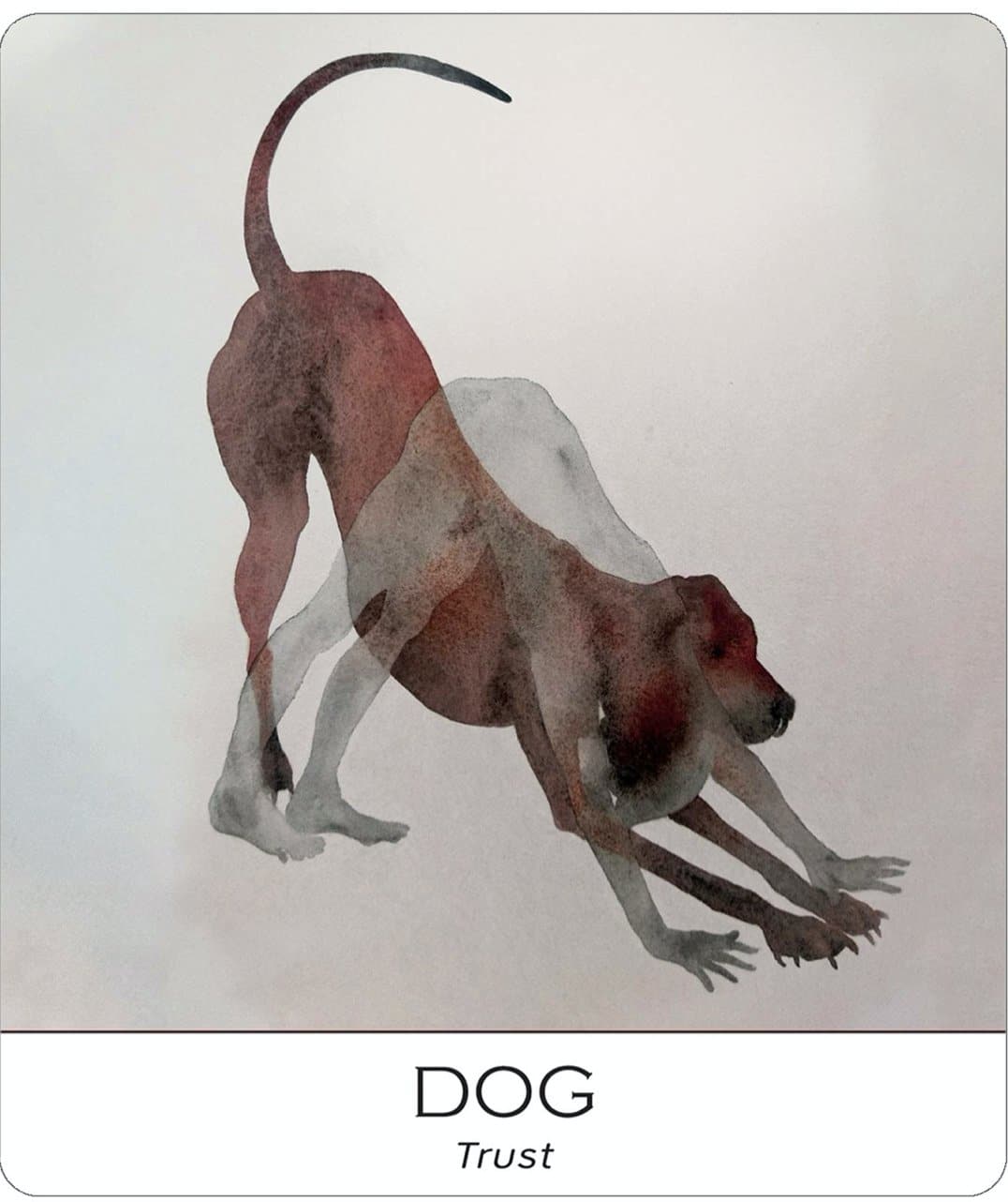 Nature and Soul Yoga Wisdom Cards - Muse + Moonstone