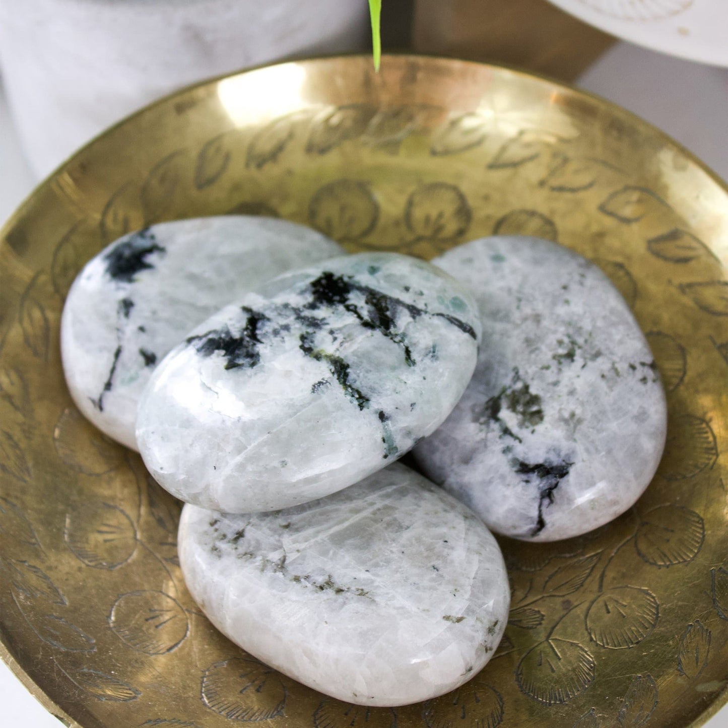 Rainbow Moonstone - Palm Stone - Muse + Moonstone