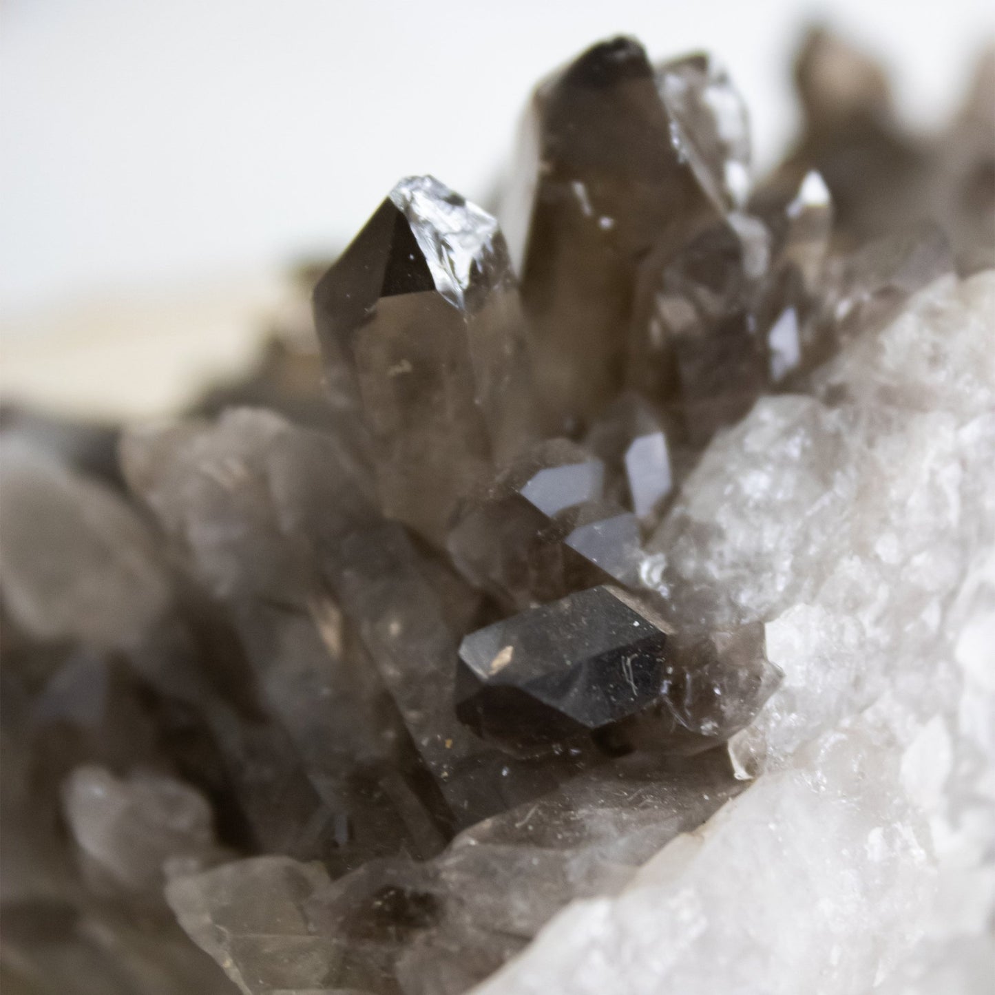 Smokey Quartz - Unique Specimen #2 - Muse + Moonstone