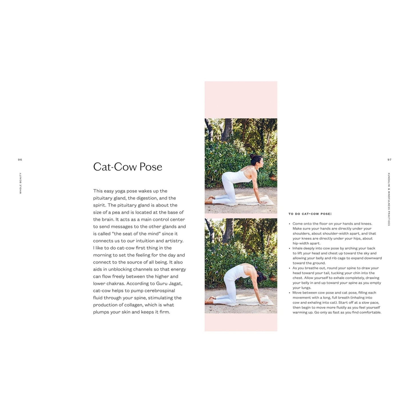 Whole Beauty: Daily Rituals And Natural Recipes For Lifelong Beauty And Wellness - Muse + Moonstone