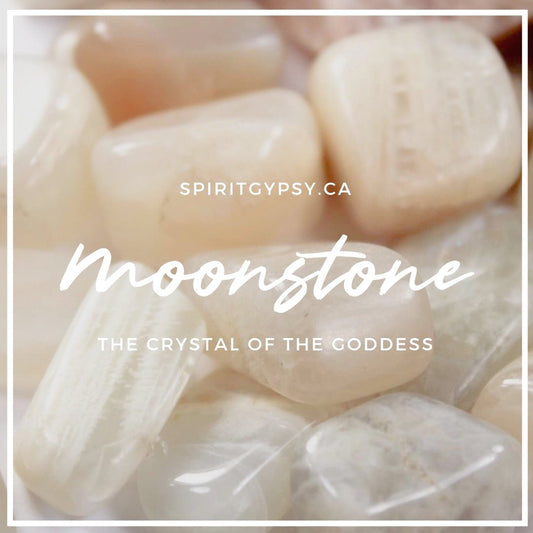 Moonstone: The Crystal of the Goddess - Muse + Moonstone