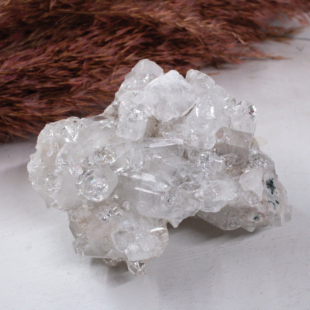 Apophyllite - Unique Specimen 2 - Muse + Moonstone