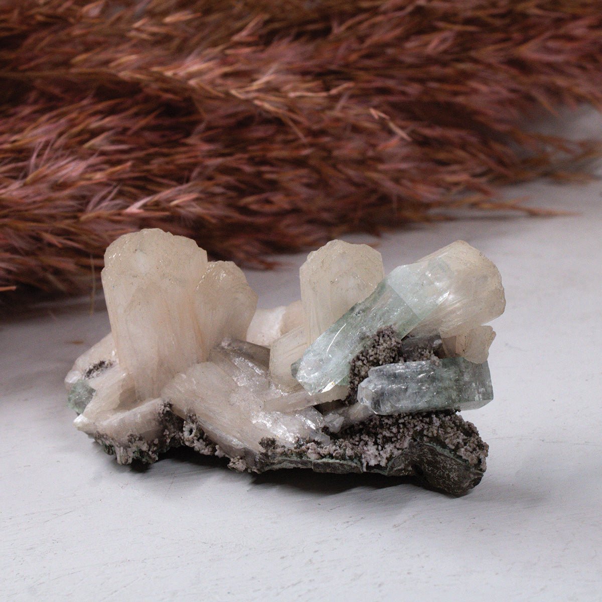 Aquamarine on Stilbite - Unique Specimen 1 - Muse + Moonstone