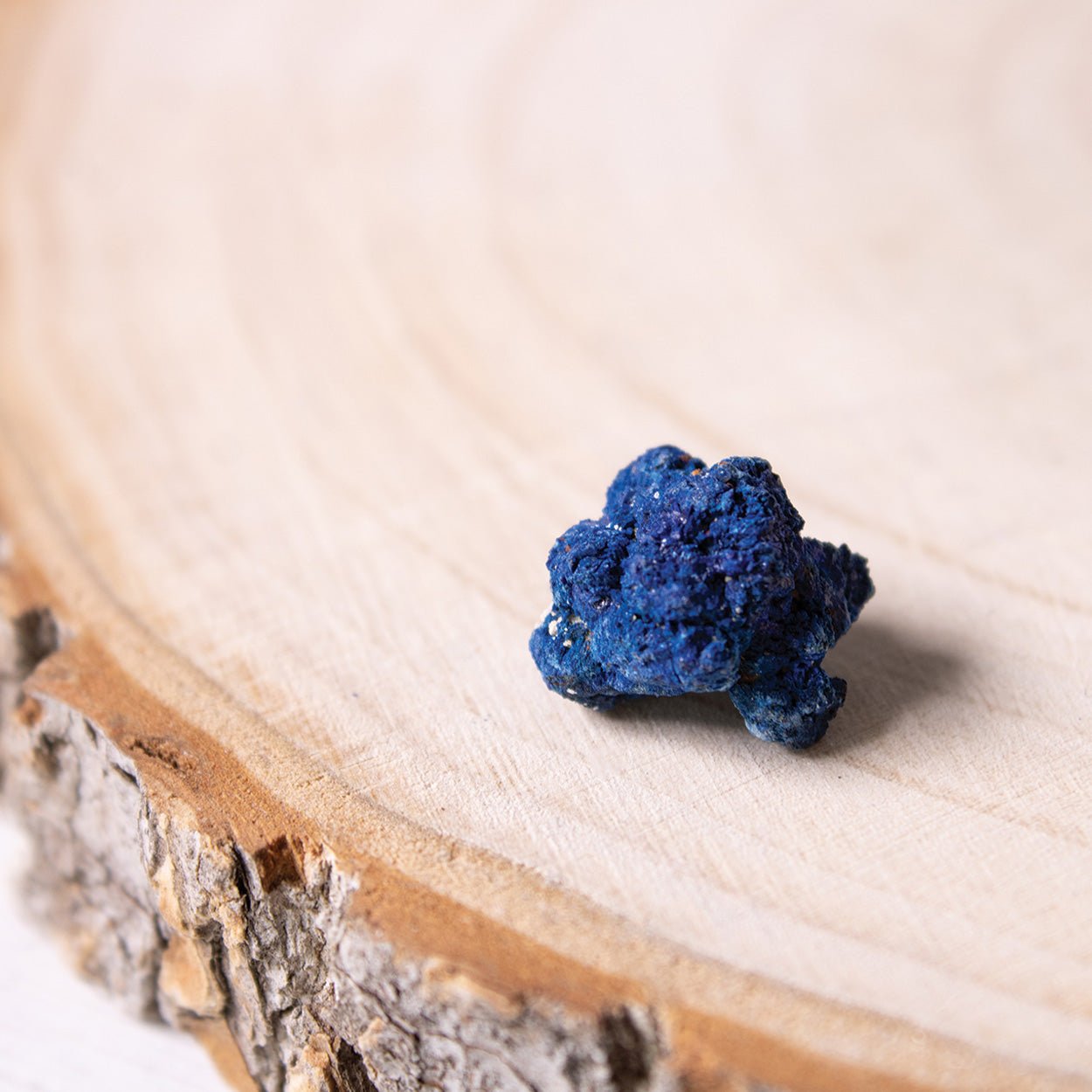 Azurite - Raw Specimens - Small - Muse + Moonstone