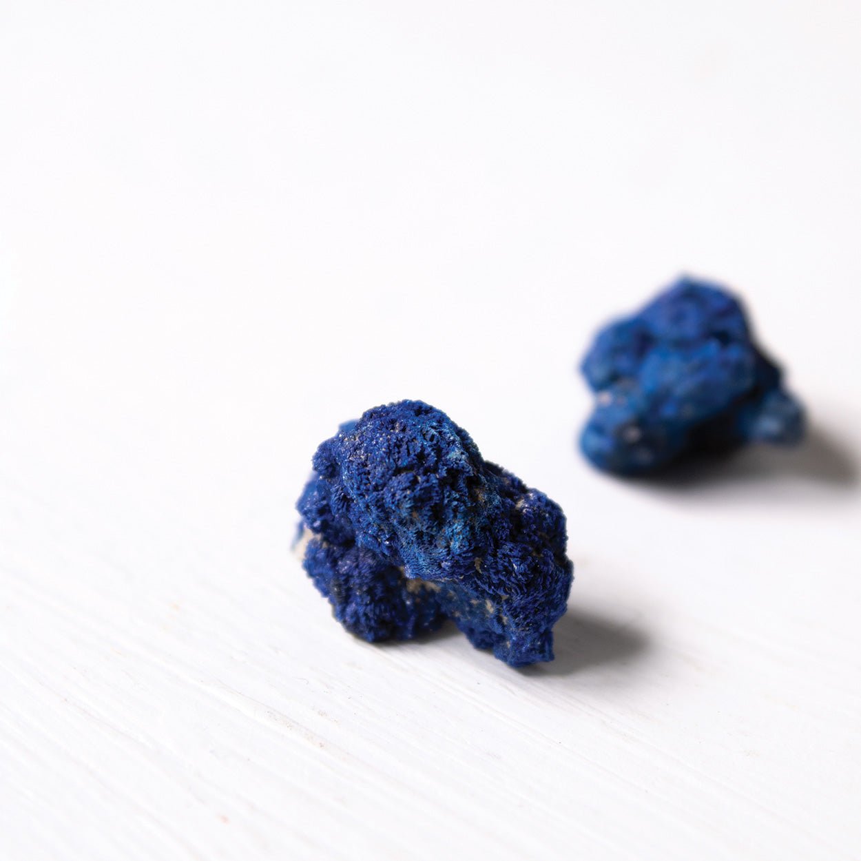 Azurite - Raw Specimens - Small - Muse + Moonstone
