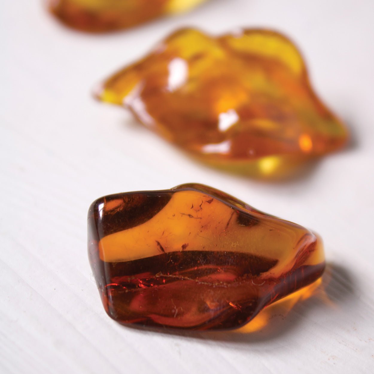 Baltic Amber - Polished Specimens - Muse + Moonstone