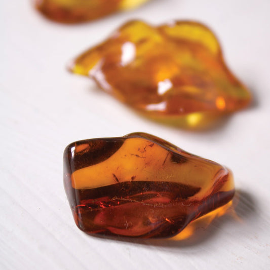 Baltic Amber - Polished Specimens - Muse + Moonstone