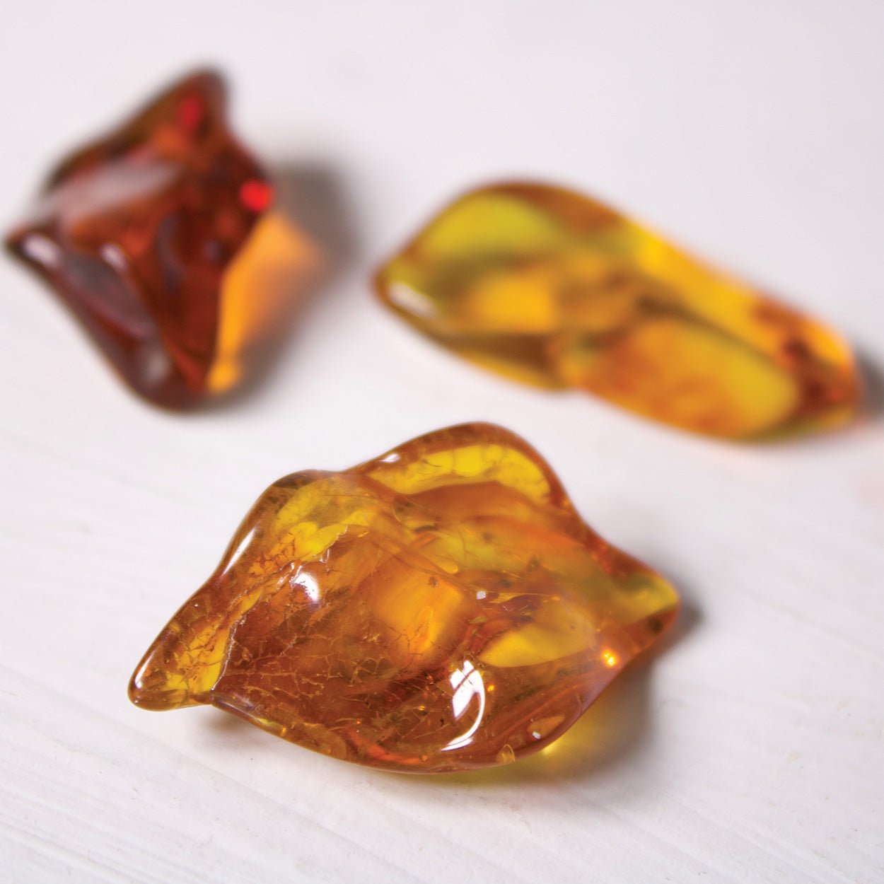 Baltic Amber - Polished Specimens - Muse + Moonstone