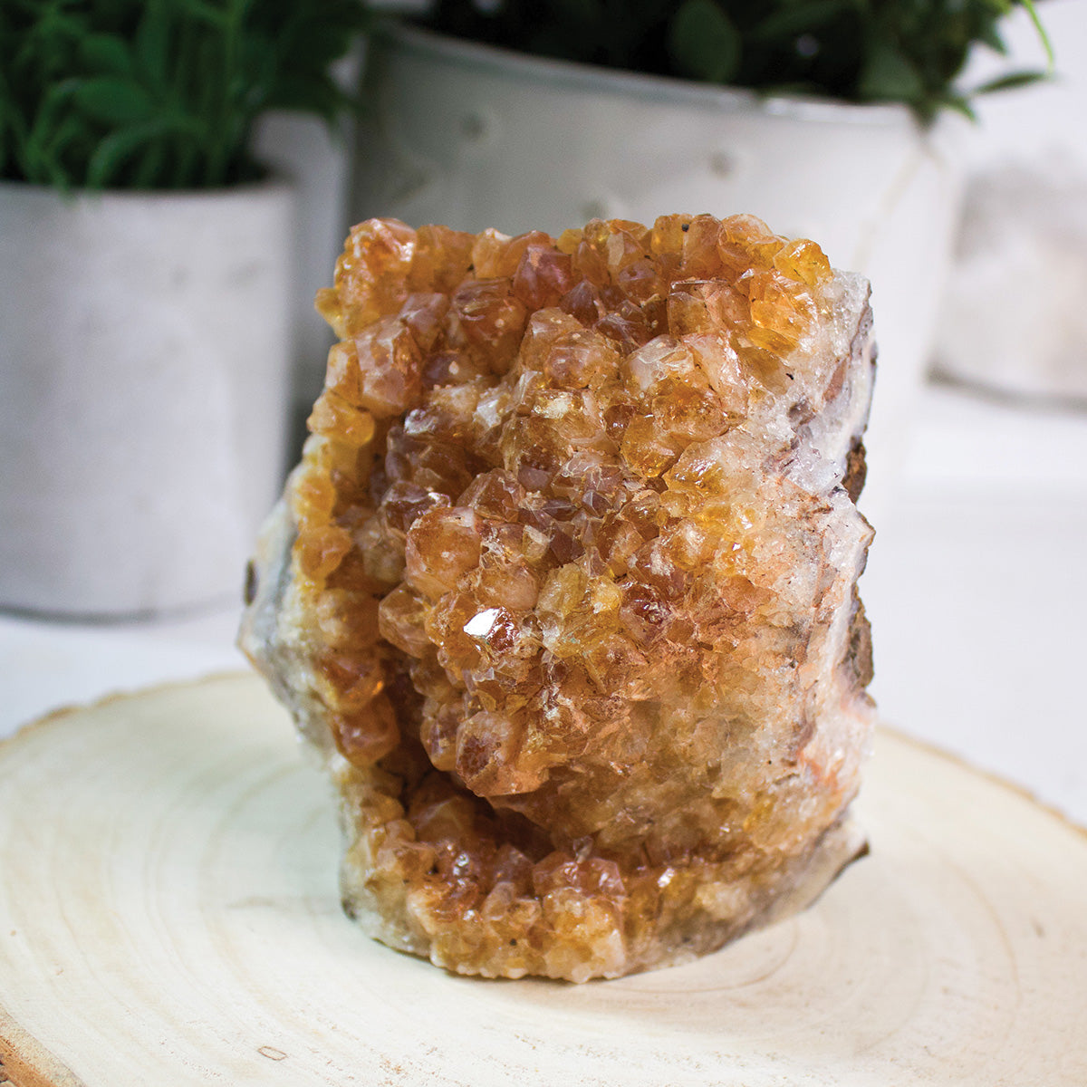 Citrine - Unique Specimen #2