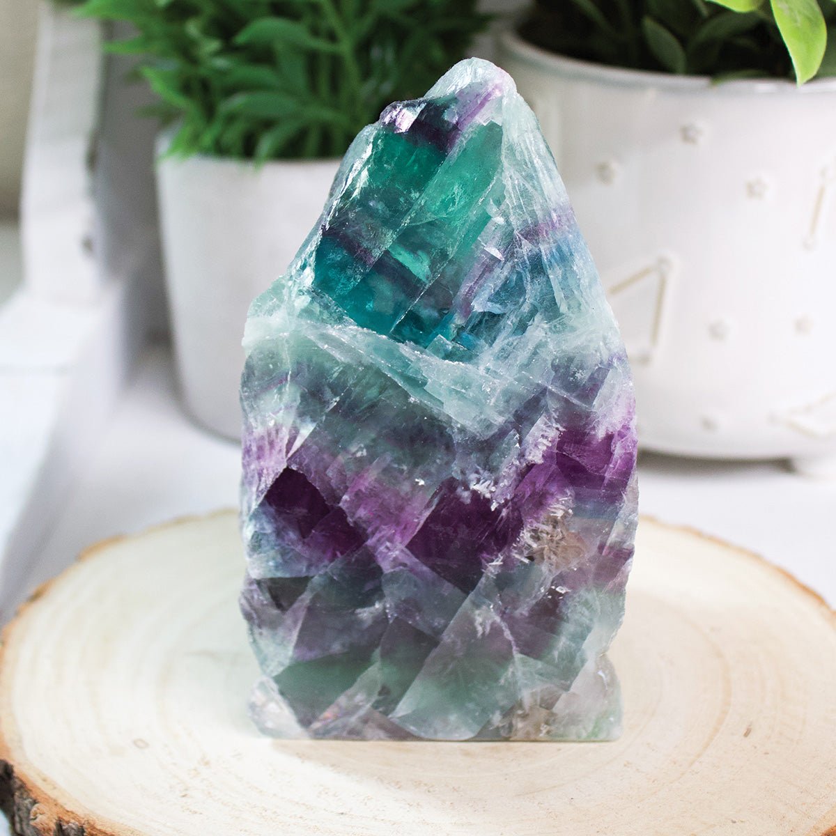 Fluorite - Cut Base - Unique Specimen 1 - Muse + Moonstone