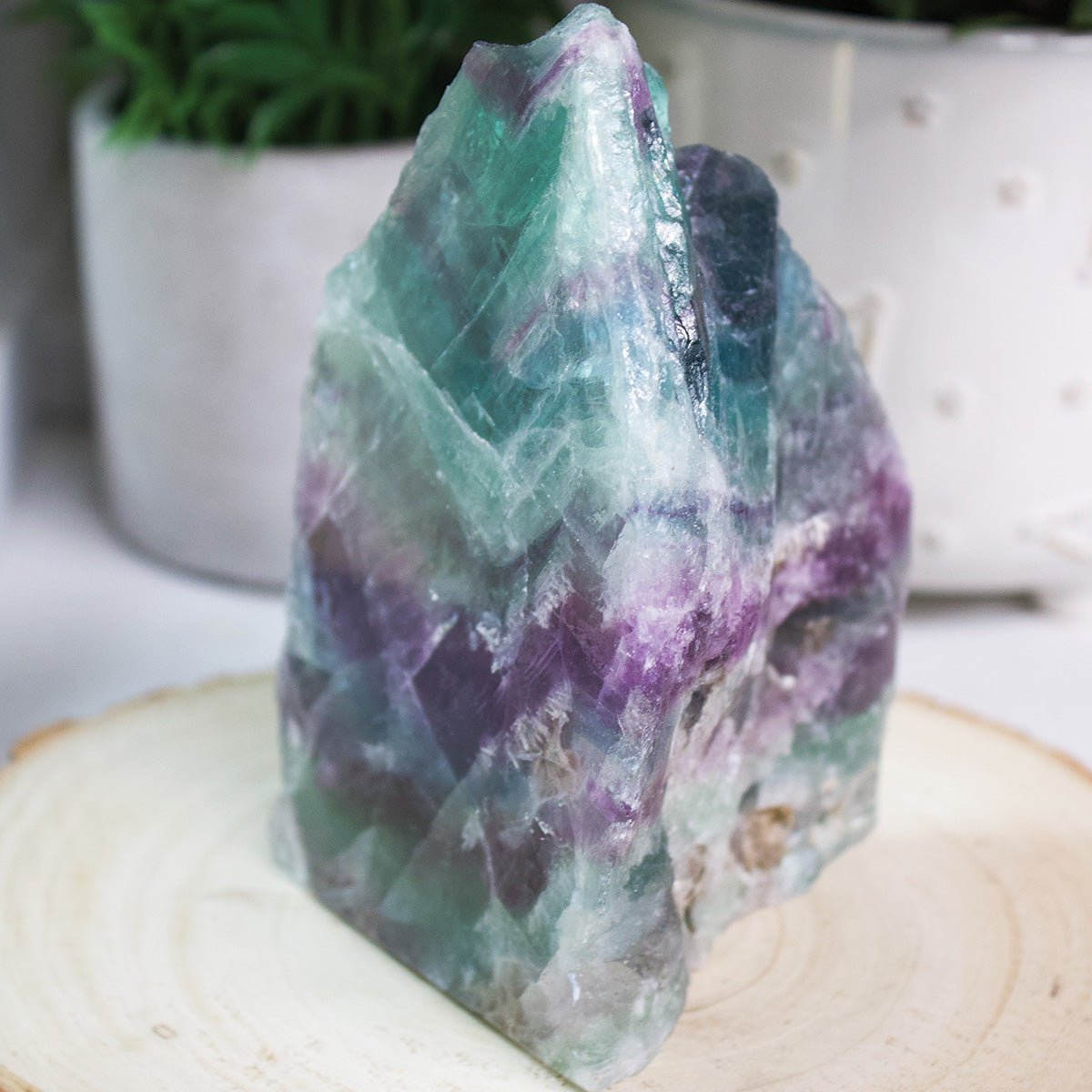 Fluorite - Cut Base - Unique Specimen 1 - Muse + Moonstone