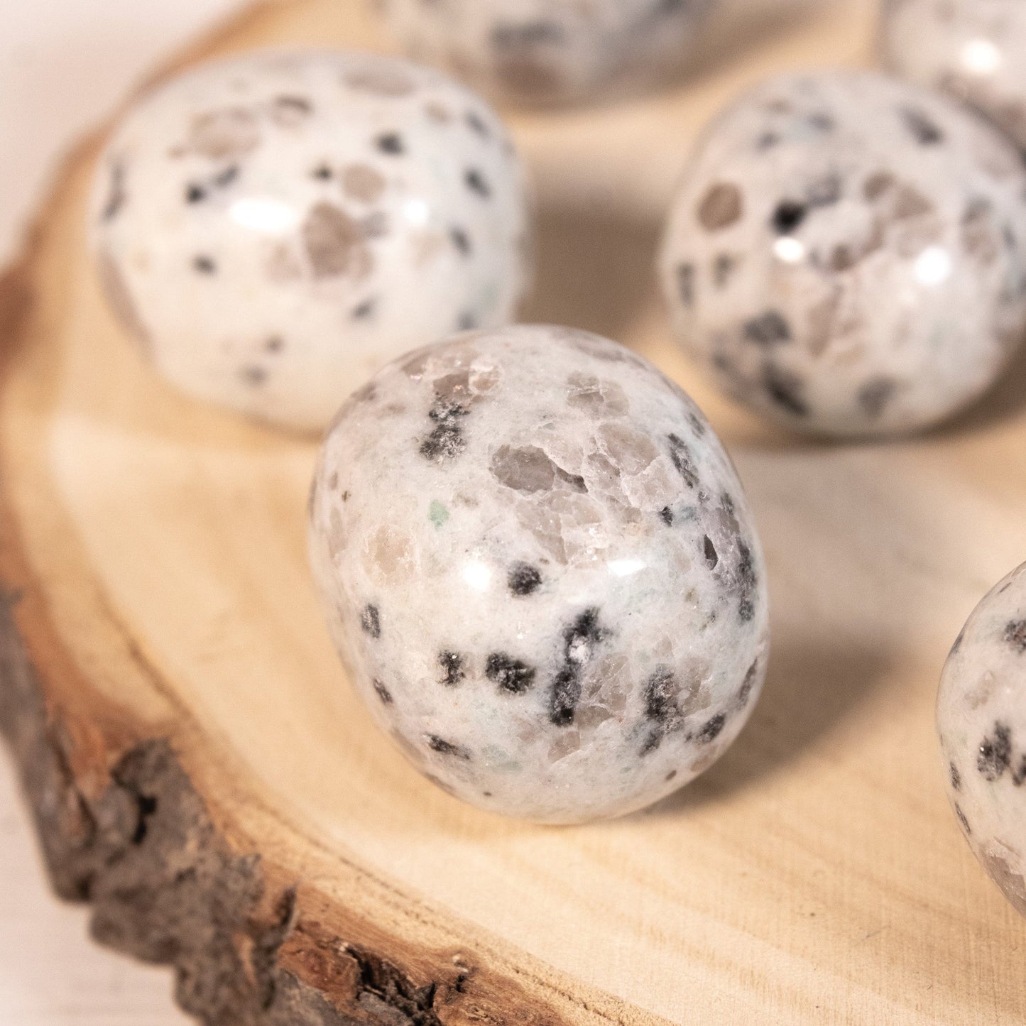 Kiwi Jasper - Tumbled Stones - Muse + Moonstone