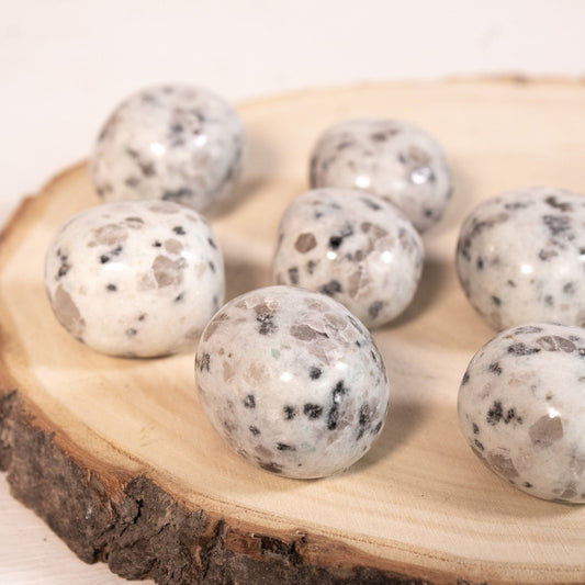Kiwi Jasper - Tumbled Stones - Muse + Moonstone