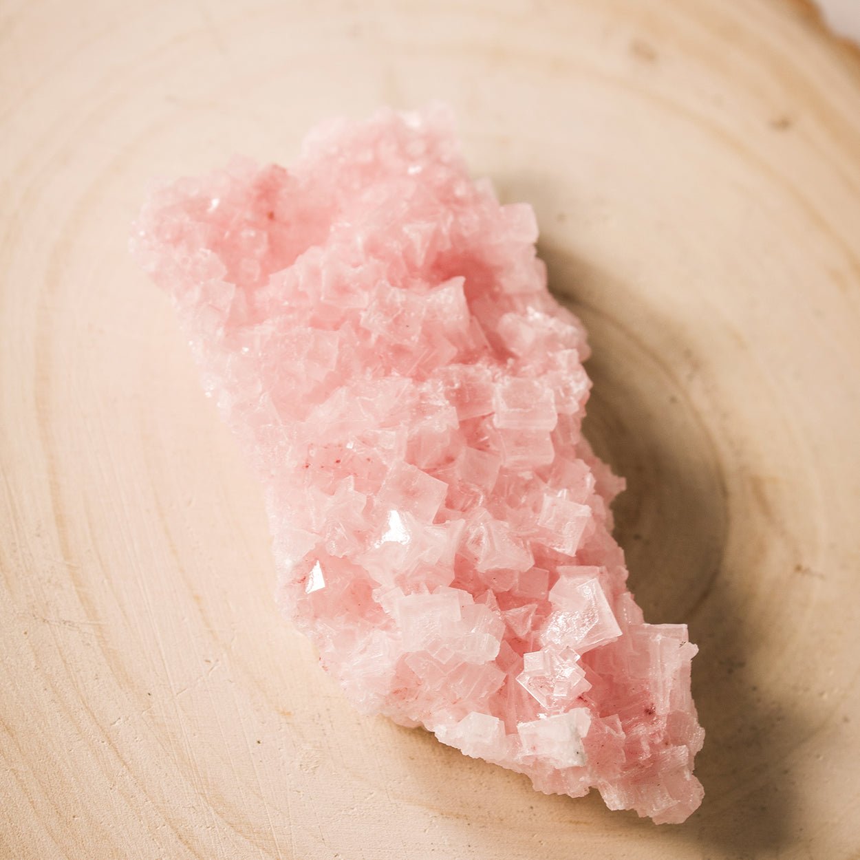 Pink Halite - Unique Crystal Specimen #4 - Muse + Moonstone