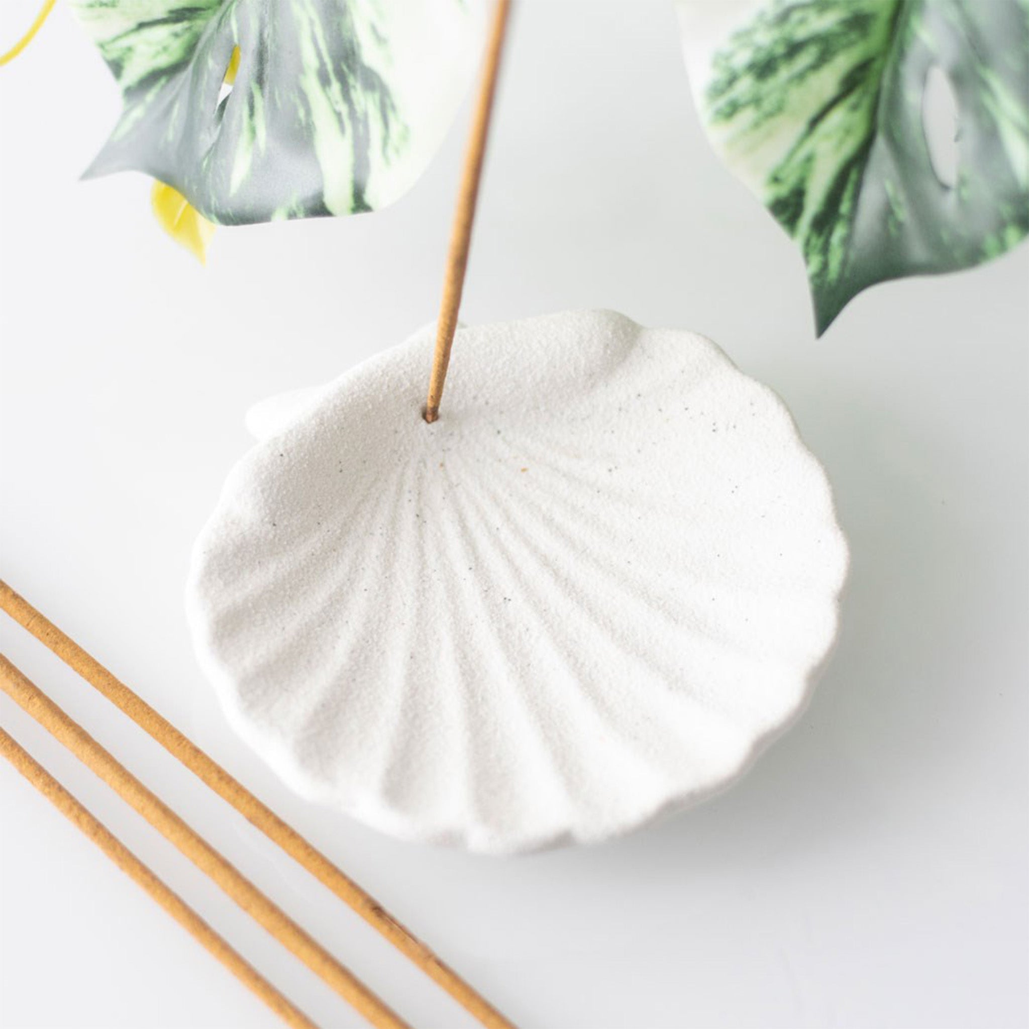 Scallop Shell Incense Holder - Muse + Moonstone – Muse + Moonstone