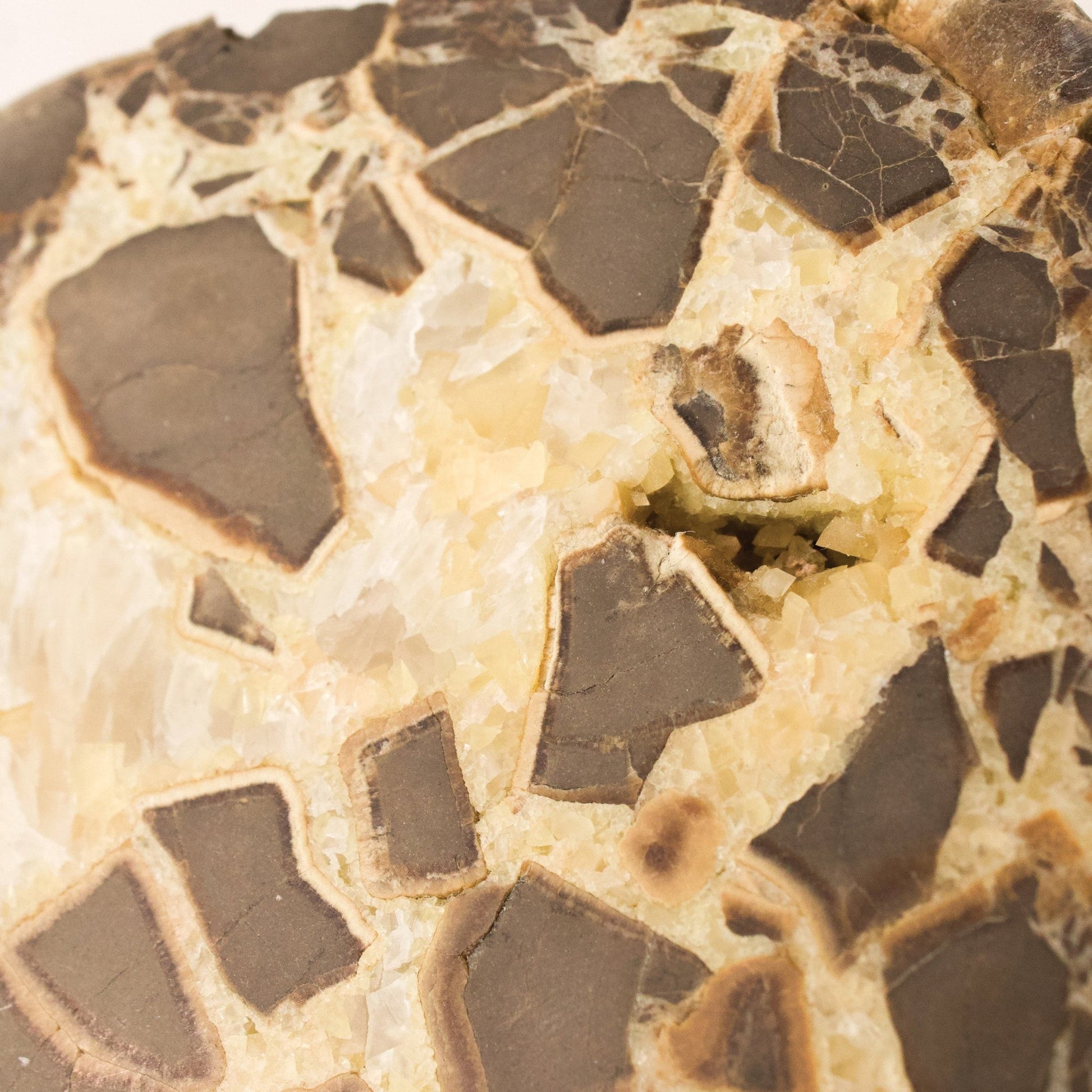 Septarian Nodule - Unique Specimen 1 - Muse + Moonstone