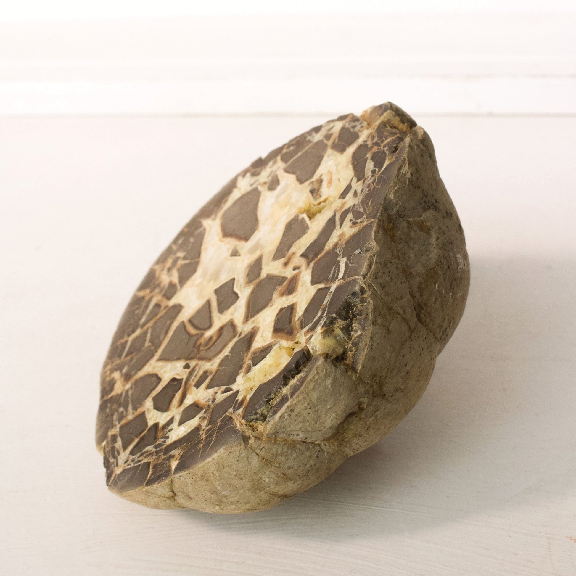 Septarian Nodule - Unique Specimen 1 - Muse + Moonstone