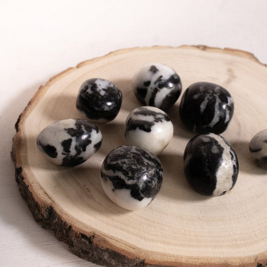 Zebra Calcite - Tumbled Stones - Muse + Moonstone
