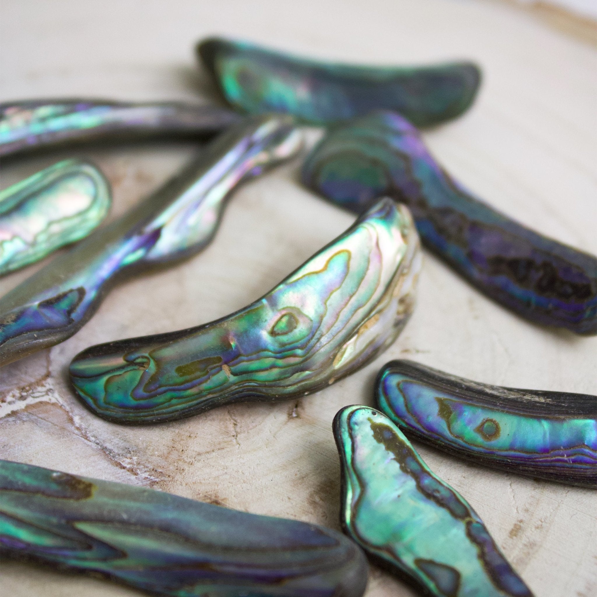 Abalone Shell - Tumbled - Muse + Moonstone – Muse + Moonstone