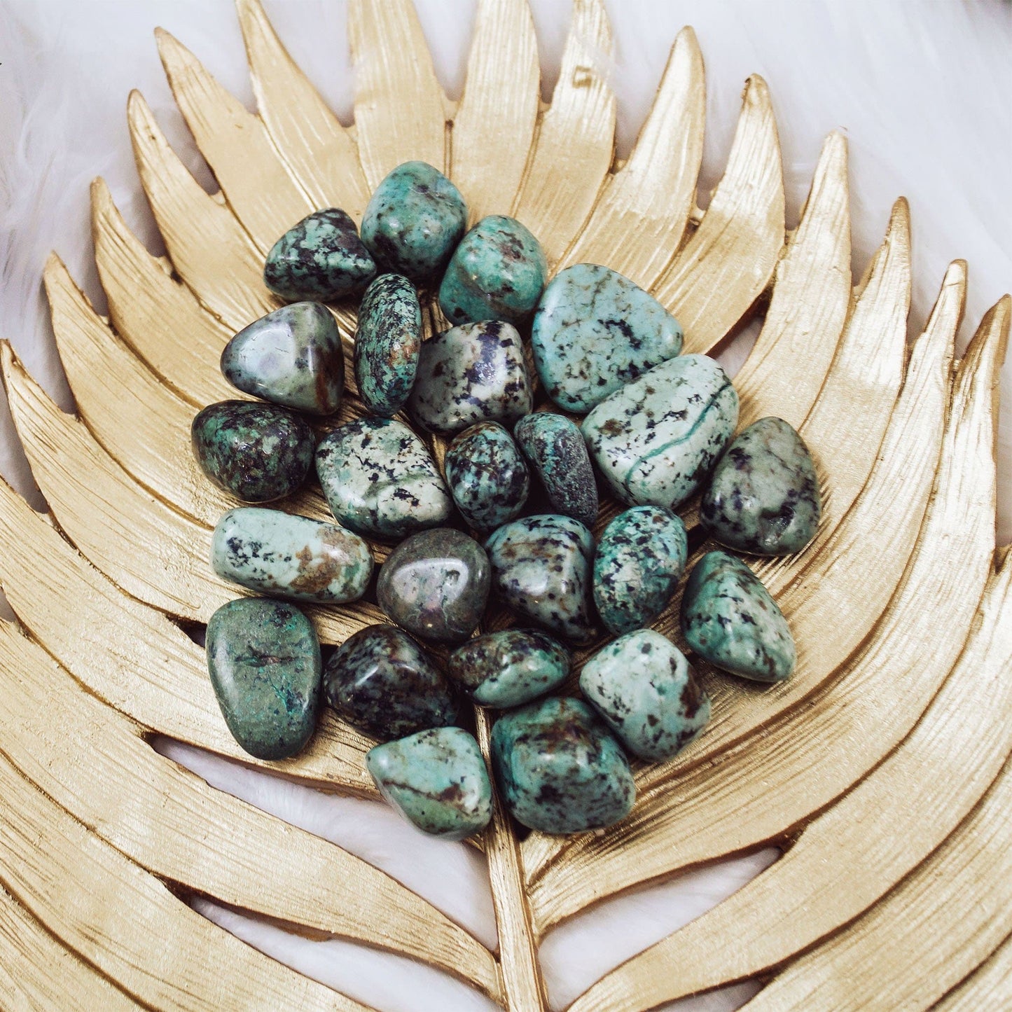 African Turquoise Jasper - Tumbled - Muse + Moonstone