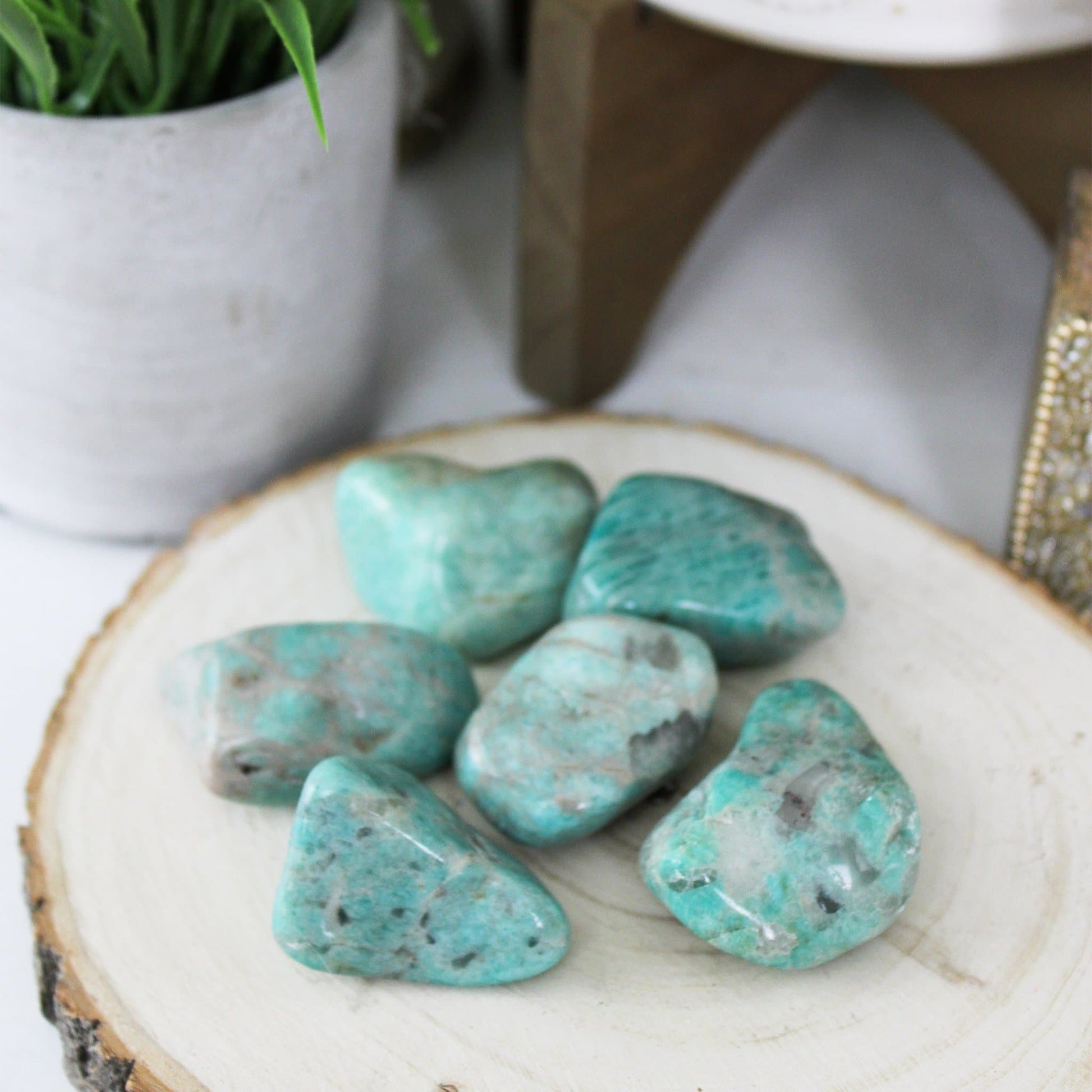 Amazonite - Brazilian - Tumbled - Muse + Moonstone