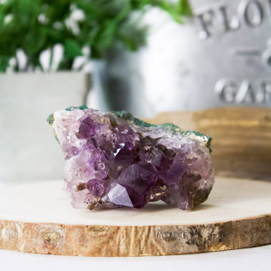 Amethyst Cluster - Medium - Muse + Moonstone